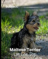 Maltese Terrier - Live Love Dogs!