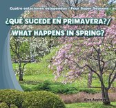 ?Que Sucede En Primavera? / What Happens in Spring?