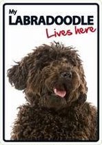 Labradoodle Lives Here