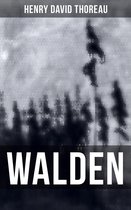 E-book