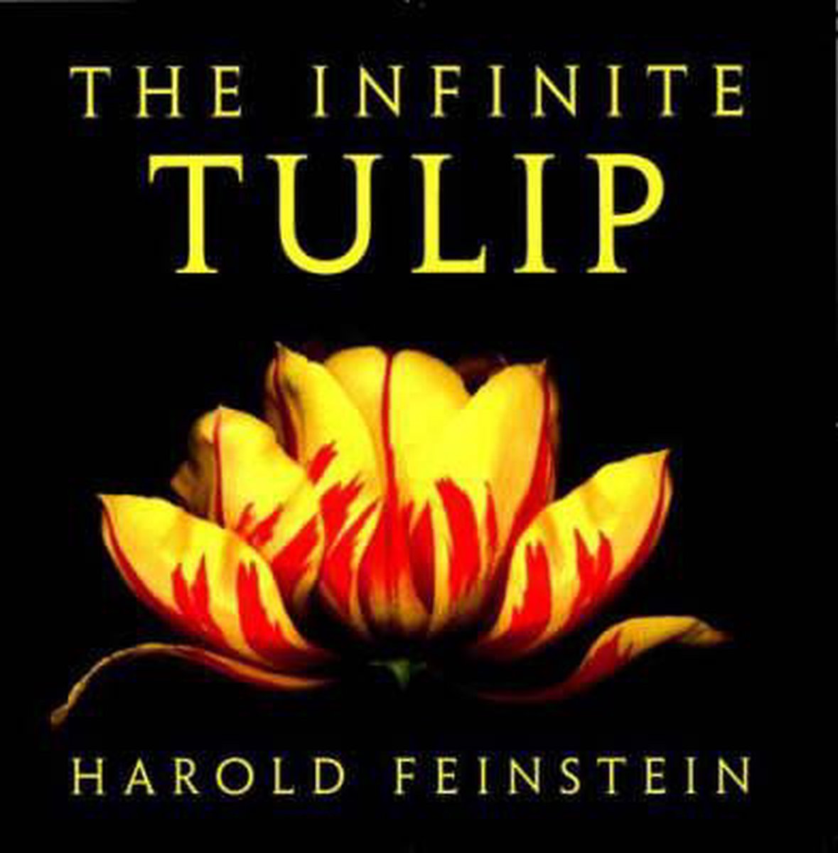 The Infinite Tulip op Prijzenvolger.com