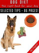 Dog Diet – The Right Food For Your Dog