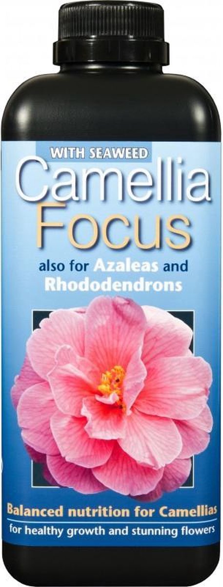 Camellia focus 300ml - Voor een prachtige bloei en gezonde Camelia's, Rhododnedrons en Azalea's in pot!