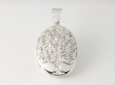 Ovaal zilveren medaillon met levensboom