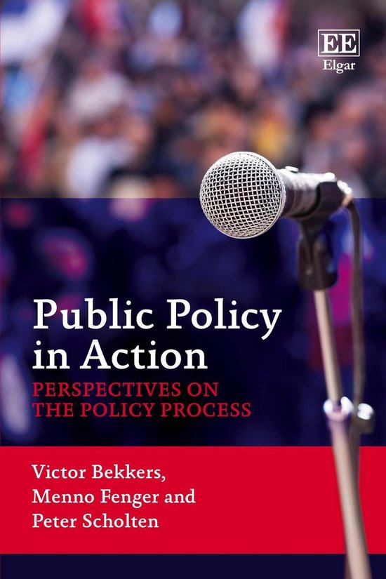 Public Policy in Action - cover