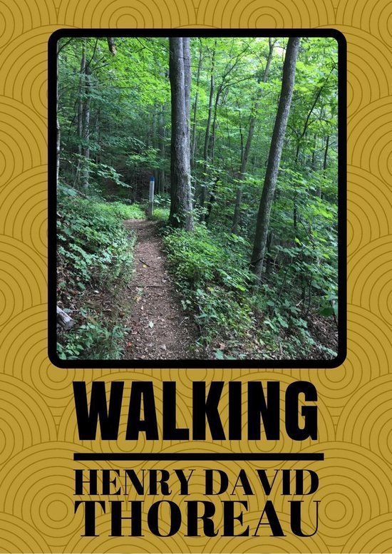 Walking