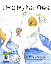 I Miss My Best Friend