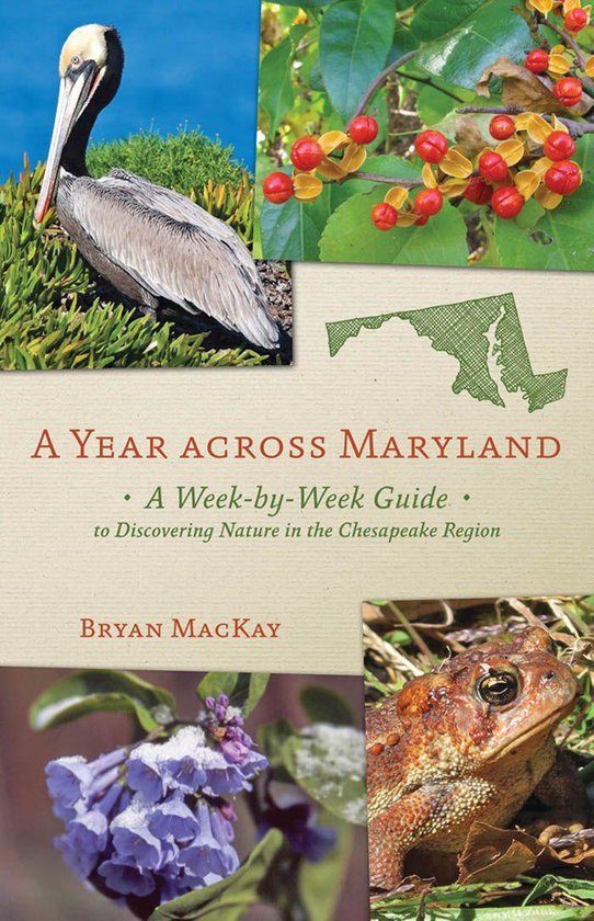 Foto: A year across maryland