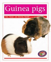 Guinea pigs