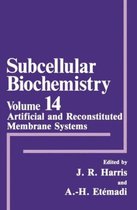 Artificial and Reconstituted Membrane Systems