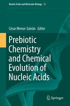Nucleic Acids and Molecular Biology 35 - Prebiotic Chemistry and Chemical Evolution of Nucleic Acids
