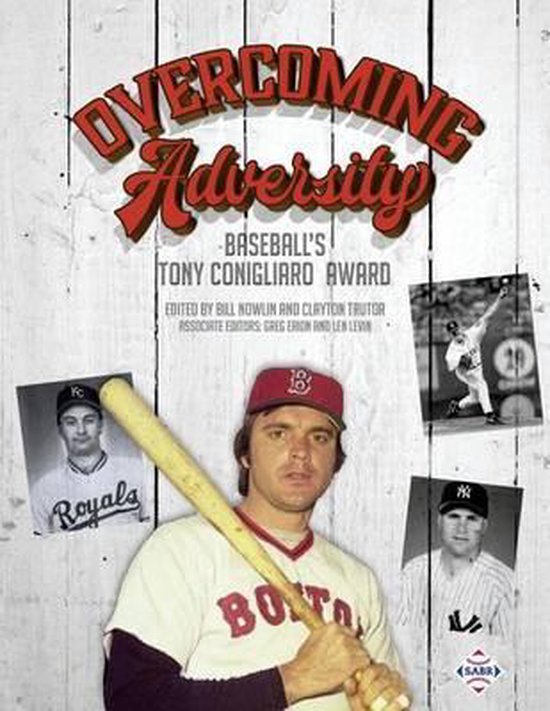 Baseball Lives- Overcoming Adversity - cover