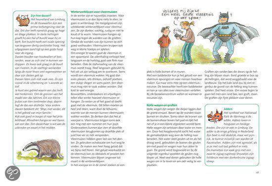 Op Pad Met De Boswachter