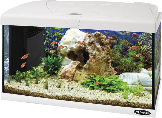 Souvenir Kijkgat Onderdrukking Ferplast Capri Aquarium 60L Led Wit | bol.com
