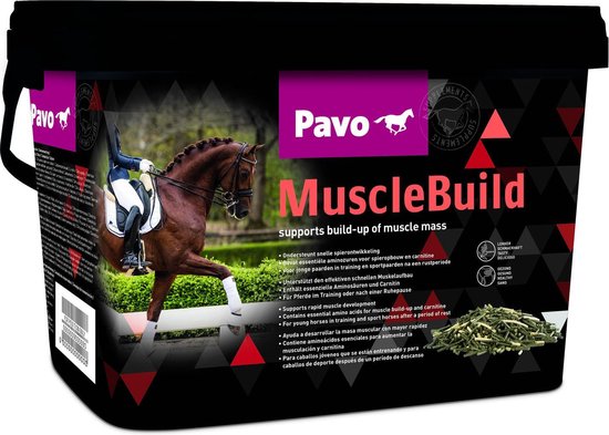 Pavo Musclebuild - Voedingssupplement - 3 kg