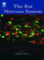 The Rat Nervous System