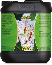 ATA-XL 5 LITER