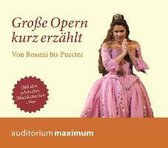 Große Oper kurz erzählt. Von Rossini bis Puccini