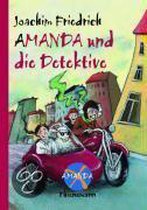 Amanda X. Amanda und die Detektive