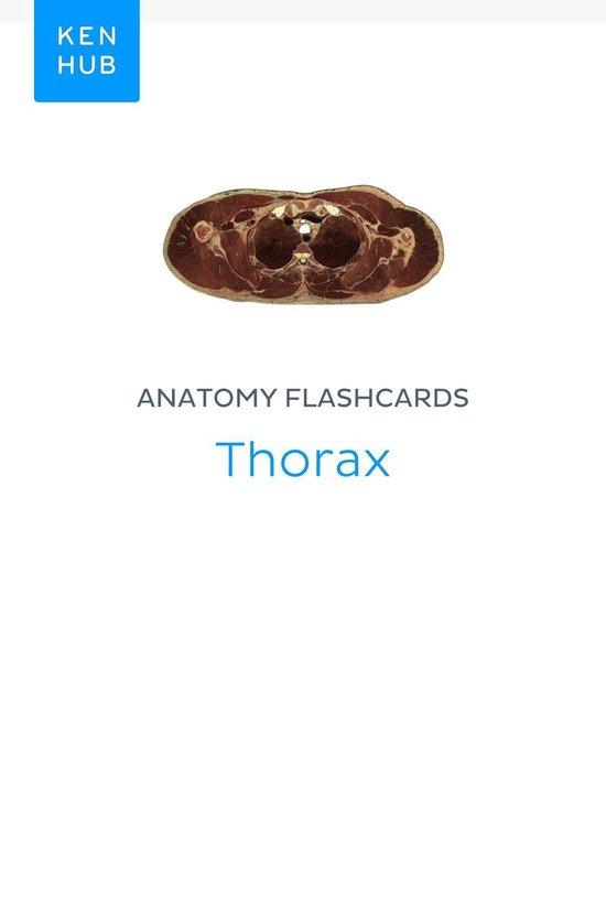 Anatomy flashcards Thorax (ebook), Kenhub 9783962980702 Boeken