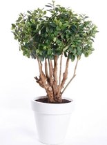 Kantoor kunstplant ficus groen in witte ronde pot 70 cm - Kantoorplanten/kunstplanten