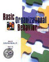 Basic Organizational Behavior