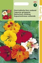 Hortitops Zaden - Tropaeolum majus Enkelbloemig mengsel