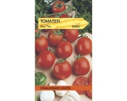 Oranjebandzaden -  Tomaten Tiny Tim Kers- Balkontomaten