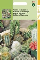 Semences Hortitops - Mélange complet de cactus