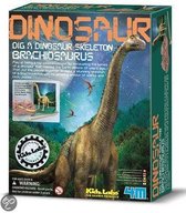 Dinosaurus Skelet Opgraafset