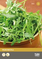 Tuin de Bruijn Wilde Rucola Zaden - Raketsla - ca. 6000 zaden