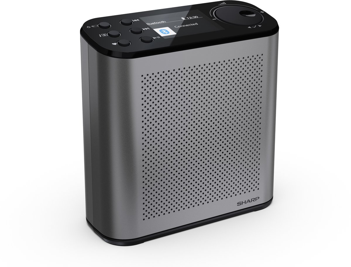 Sharp DR-P530 Osaka Portable DAB+ en FM radio met bluetooth - storm grijs