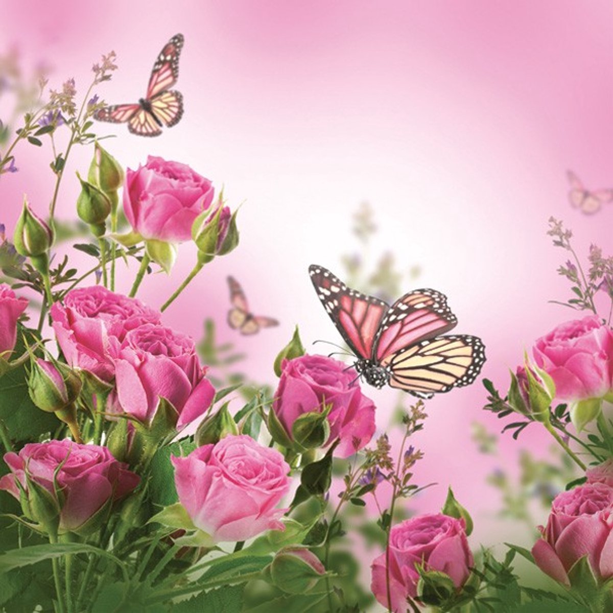 Daisy - lunch servetten - Roses & butterfly