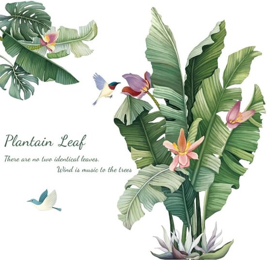 Autocollants de plantes avec de grandes feuilles de bananier vertes, des fleurs et deux oiseaux sur fond blanc.