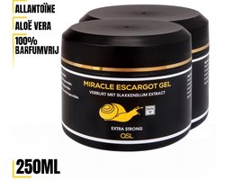 QSL | Miracle Escargot Gel - Nr 1. Slakkengel - Slakken Gel - Slakkenslijmgel - 2 x 250ml