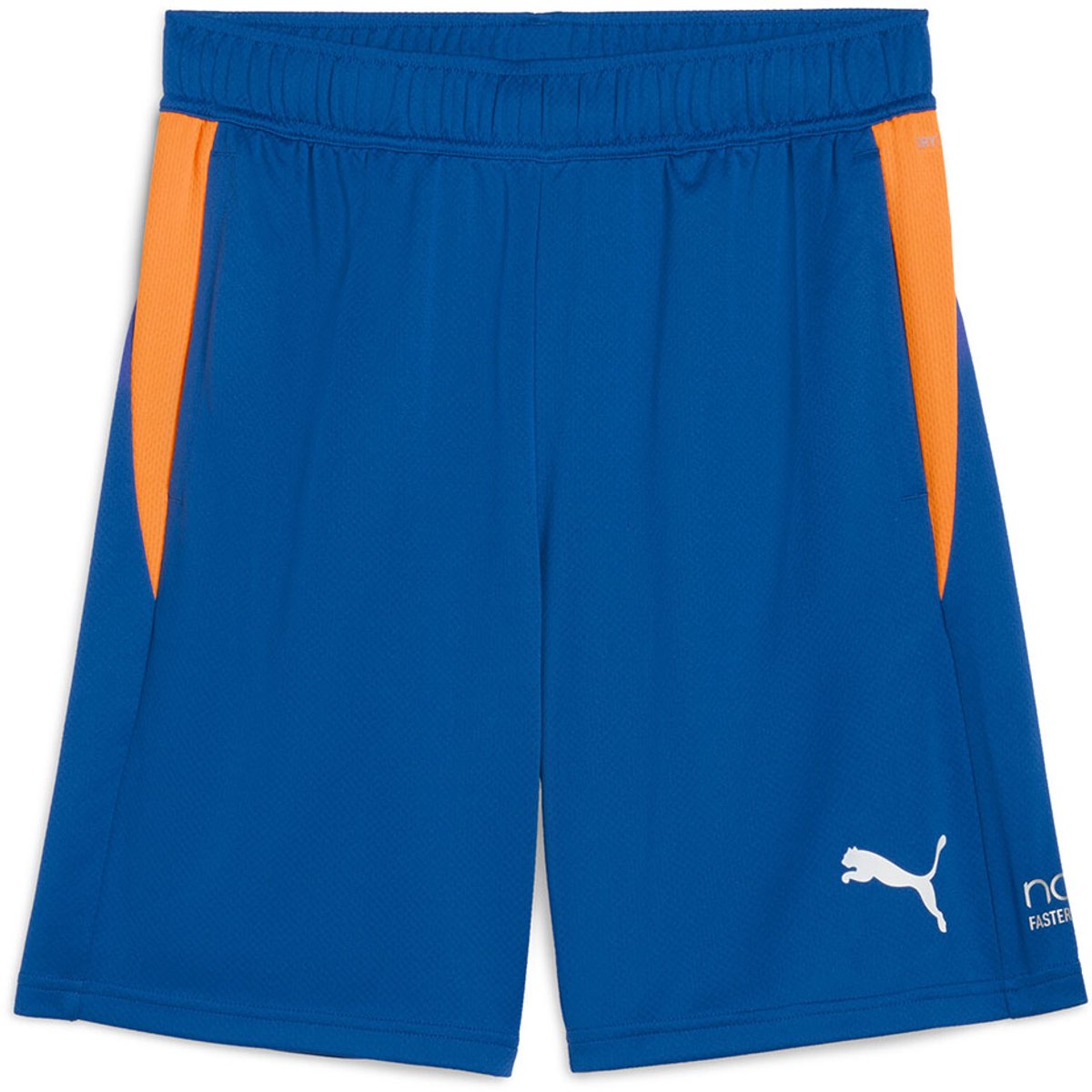 Puma Individual Training Korte Broek Blauw