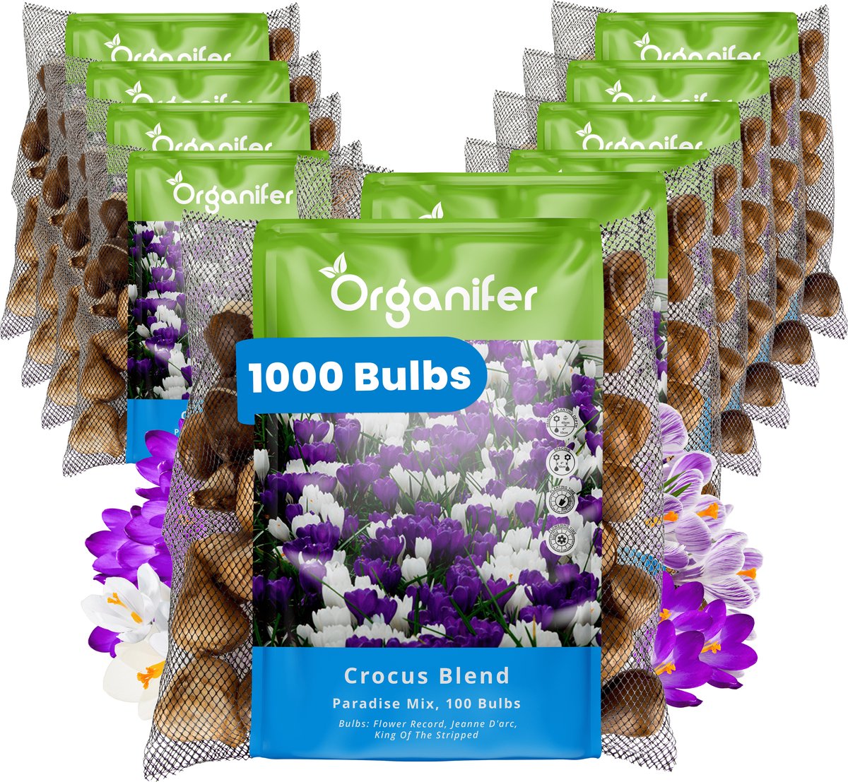 1000 Krokus - Crocus - Bloembollen - Grootbloemige Paradise Mix - XXL Bollengrootte 8/9 cm - Zomerbollen - Voorjaarsbollen - Trekt vlinders en bijen aan - Vaste planten - Veelkleurig - Organifer