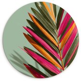 WallCircle® Wandcirkel 60x60 cm - Muurcirkel Tak - Bladeren - Kleurrijk - Schaduw - Muurdecoratie woonkamer - Wanddecoratie slaapkamer - Kamer decoratie accessoires - Ronde schilderijen