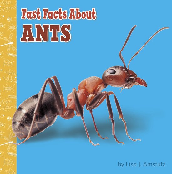 Fast Facts About Bugs & Spiders - Fast Facts About Ants