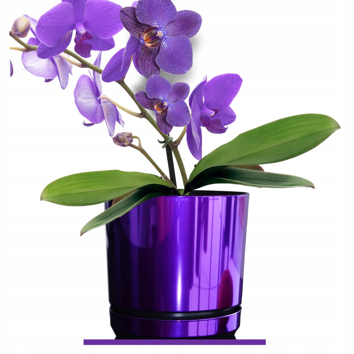 Kleurrijke Glanzende Pot met Schotel Paars 18 cm