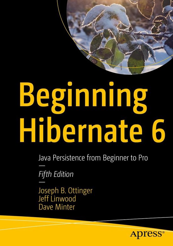 Professional and Applied Computing (R0) - Beginning Hibernat ... - cover