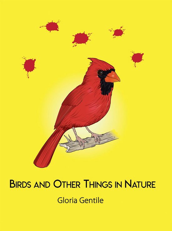 Birds and Other Things in Nature - cover
