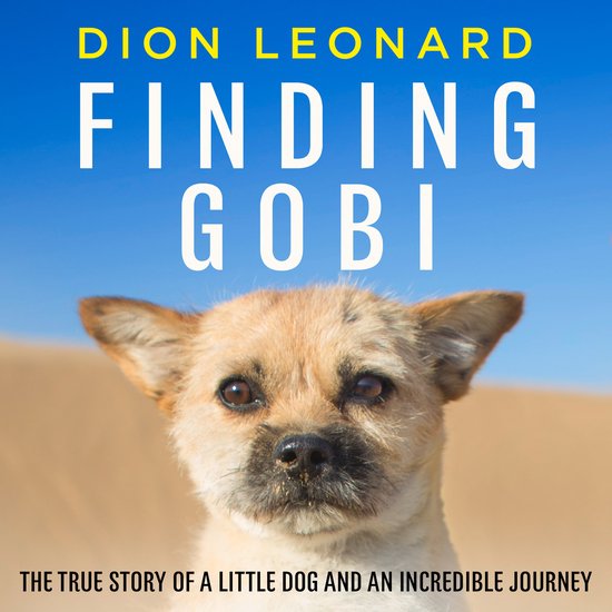 Finding Gobi (Main edition) - cover