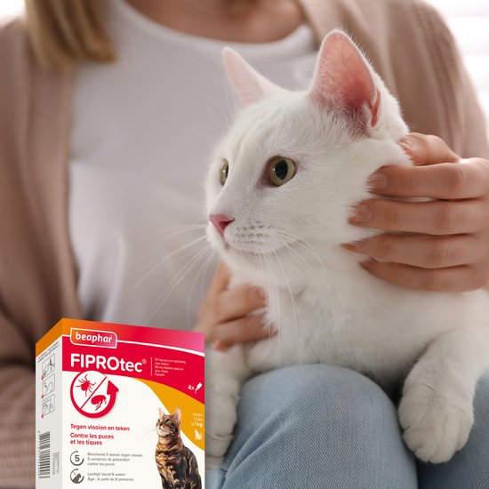 Beaphar Fiprotec Kat - Vlooienbestrijding -  >1 kg -  4 Pipetten