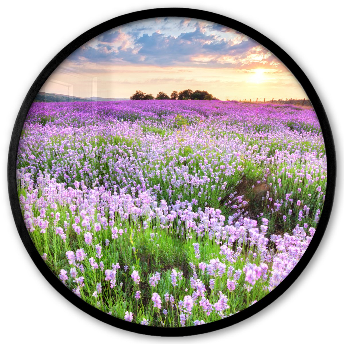 FrameYourWall Poster in lijst Rond - Fotolijst 40x40 cm - Posters - Bloemen - Lavendel - Paars - Lucht - Zonsondergang - Weide - Natuur - Ronde posterlijst zwart - Decoratie - Wanddecoratie woonkamer - Muurdecoratie slaapkamer Bloemen - Lavendel - Veld
