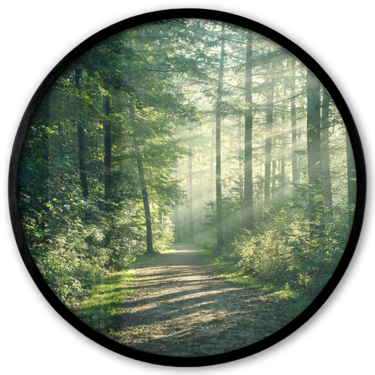 FrameYourWall Poster in lijst Rond - Fotolijst 40x40 cm - Posters - Bos - Pad - Zon - Bomen - Groen - Natuur - Ronde posterlijst zwart - Decoratie - Wanddecoratie woonkamer - Muurdecoratie slaapkamer