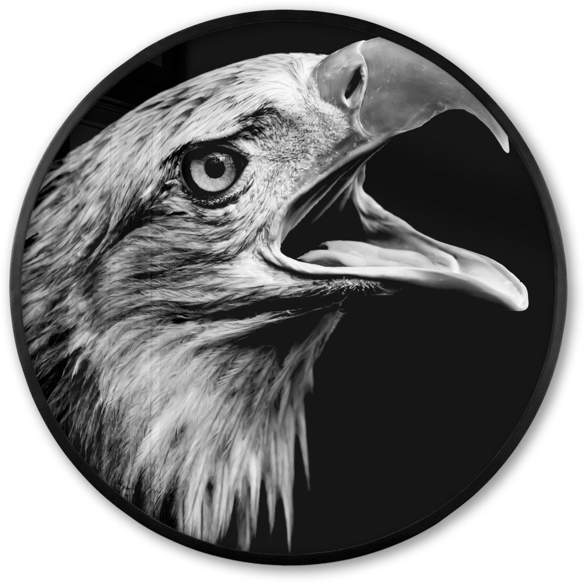 FrameYourWall Poster in lijst Rond - Fotolijst 80x80 cm - Posters - Adelaar - Portret - Roofvogels - Zwart - Wit - Vogel - Ronde posterlijst zwart - Decoratie - Wanddecoratie woonkamer - Muurdecoratie slaapkamer Multicolor
