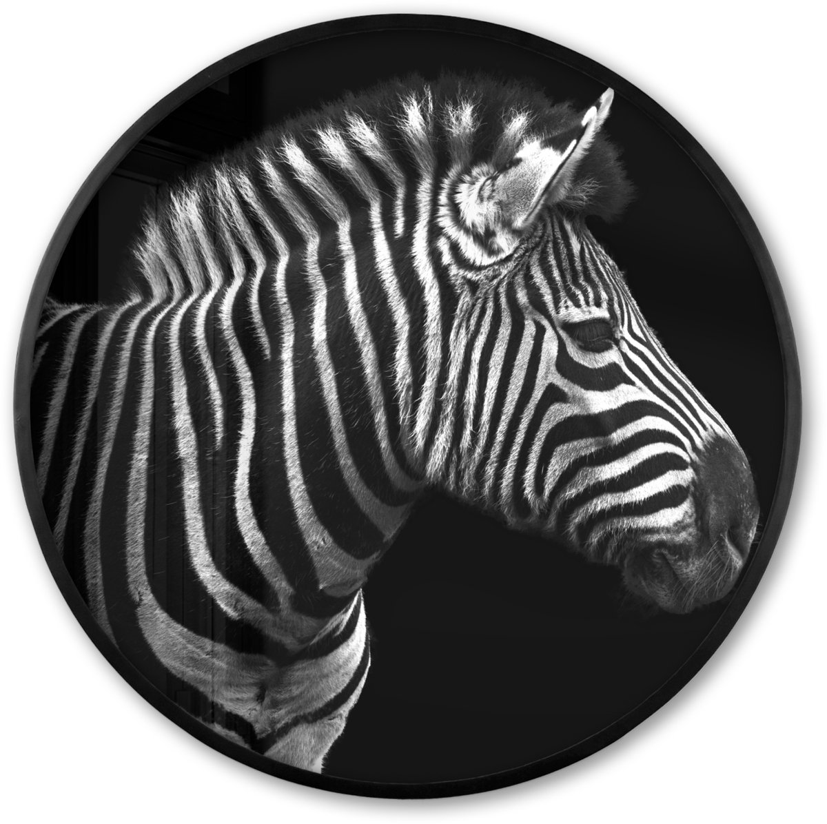 FrameYourWall Poster in lijst Rond - Fotolijst 80x80 cm - Posters - Zebra - Zwart - Wit - Portret - Dieren - Ronde posterlijst zwart - Decoratie - Wanddecoratie woonkamer - Muurdecoratie slaapkamer Zebra - Zwart wit
