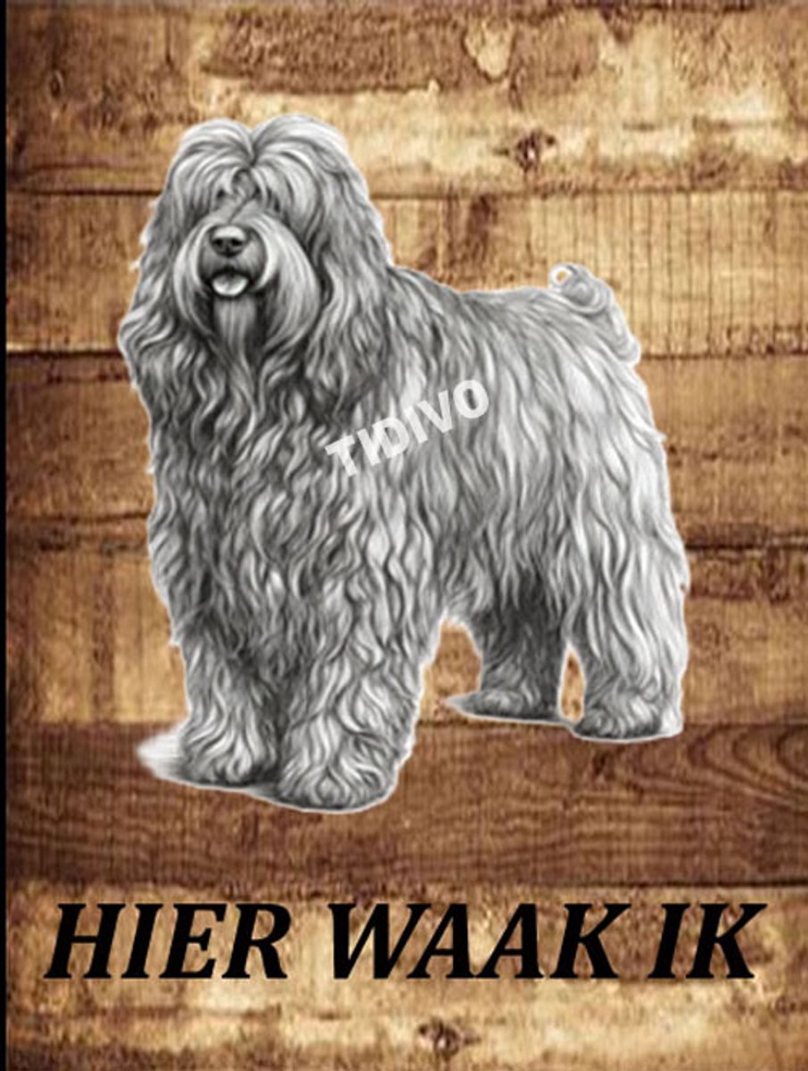 Bergamasco 20
