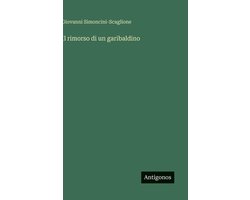 Il rimorso di un garibaldino